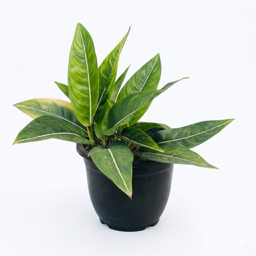 Exotic Potted Plant #007