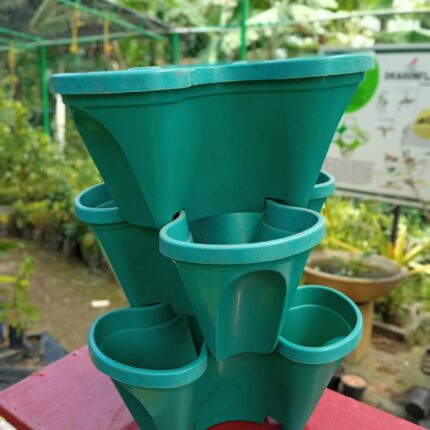 Plastic Pot (3 in 1)
