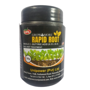 Grow More: Rapid Root