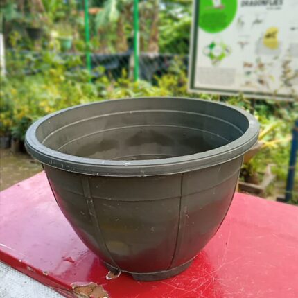 Round Plastic Pots
