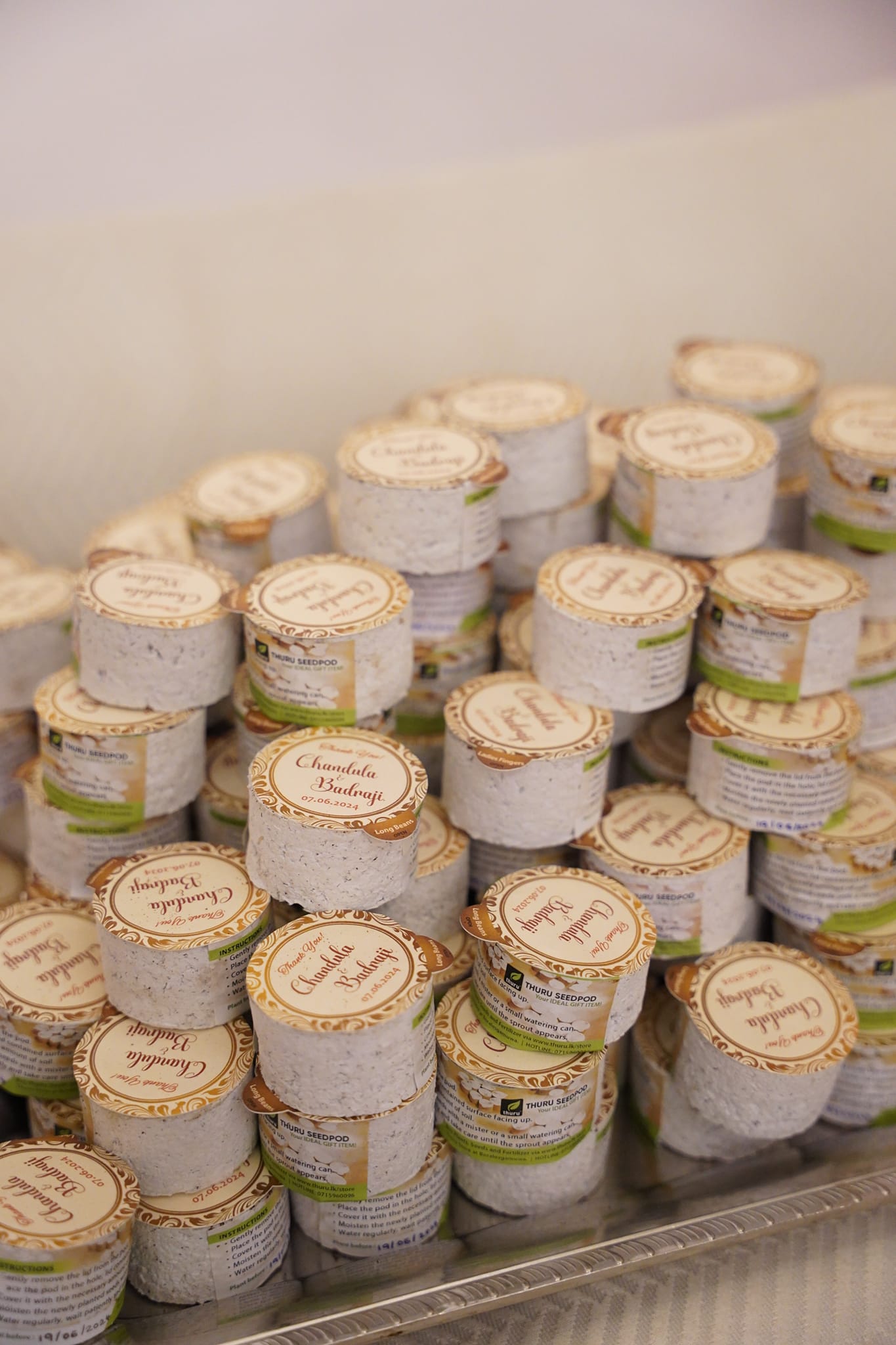 Thuru Seeds For Events ( 100 Seedpods Bundle )